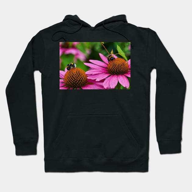 Two bumble bees Hoodie by mbangert